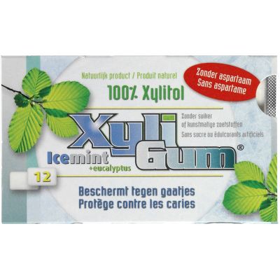 Kauwgom icemint van Xyligum GEEN BIO, 24 x 15 g